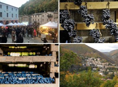 Serrapatrona, la Vernaccia nera svela i suoi segreti: torna “Appassimenti Aperti”