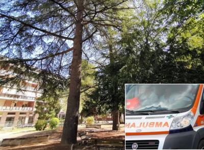 Tolentino, malore vicino ai Giardini Lennon: il 118 salva un uomo
