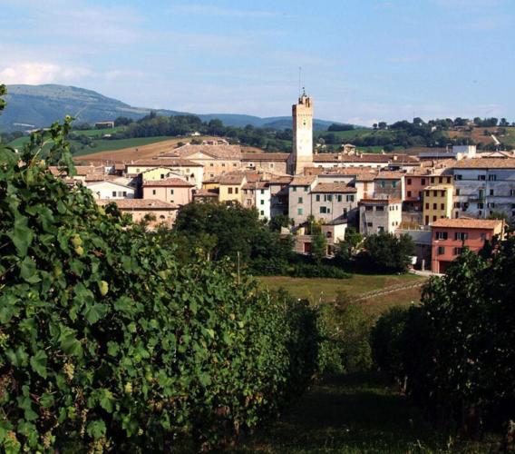 Matelica, un’estate da vivere: tra cultura, musica, tradizione e natura fino a ottobre Matelica, un’estate da vivere: tra cultura, musica, tradizione e natura fino a ottobre