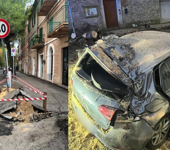 Macerata - Pino crollato a Santa Croce, i cittadini: "Problema segnalato da mesi, mai ricevuto risposta"