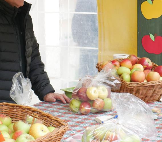 Mela Rosa protagonista a Monte San Martino: successo per la 19esima edizione di Saperi e Sapori (VIDEO e FOTO)