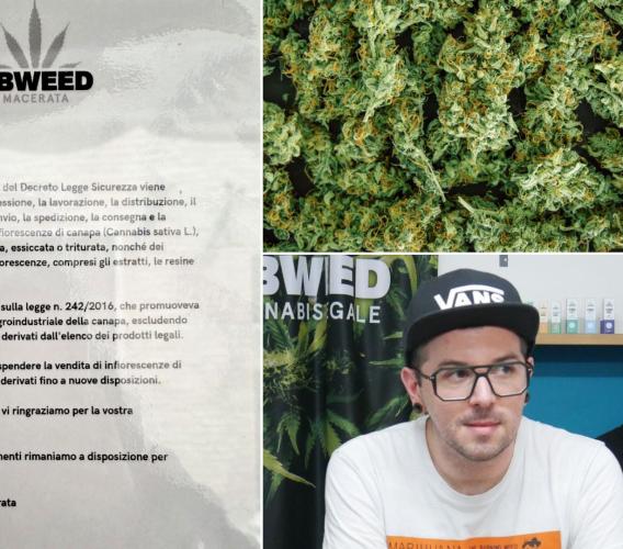Stop alla cannabis light, a Macerata chiude lo shop: "Non sappiamo cosa fare, col Governo Meloni niente più confronto" Stop alla cannabis light, a Macerata chiude lo shop: "Non sappiamo cosa fare, col Governo Meloni niente più confronto"