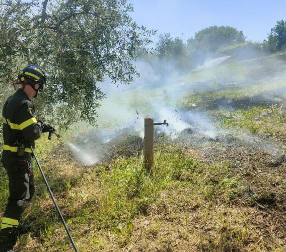 Corridonia: sterpaglie a fuoco, intervengono i vigili del fuoco Corridonia: sterpaglie a fuoco, intervengono i vigili del fuoco