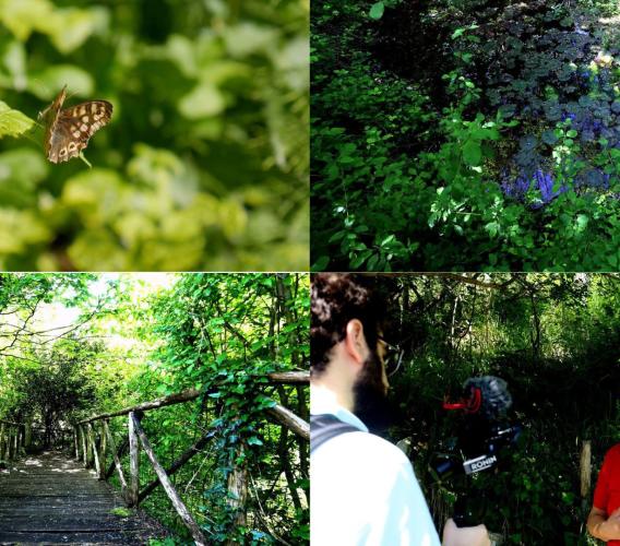 Il Giardino delle Farfalle di Cessapalombo: un angolo di natura da vivere e scoprire (VIDEO)