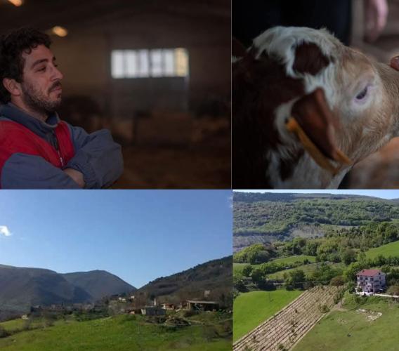 Serrapetrona, 60 anni di agricoltura biologica: l’evoluzione sostenibile dell'azienda Maggi & Vecchioni Serrapetrona, 60 anni di agricoltura biologica: l’evoluzione sostenibile dell'azienda Maggi & Vecchioni