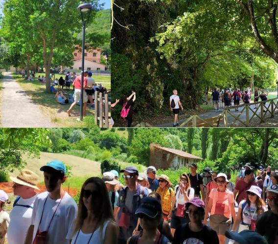 Pioraco e Fiuminata protagoniste della Magnalonga 2025: un evento da tutto esaurito tra sentieri e sapori Pioraco e Fiuminata protagoniste della Magnalonga 2025: un evento da tutto esaurito tra sentieri e sapori