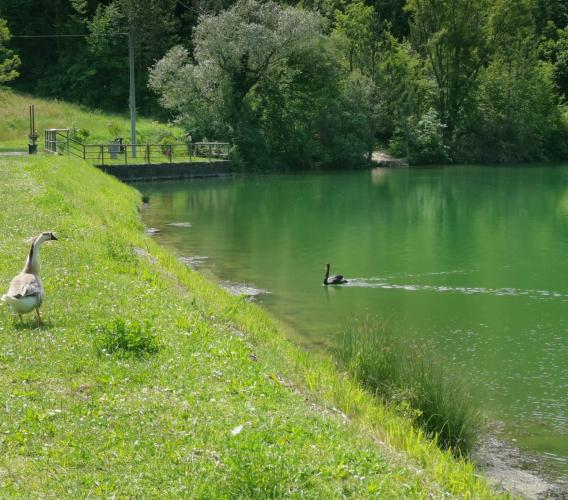 "Passeggiando Valfornace": escursioni al tramonto e performance artistiche "Passeggiando Valfornace": escursioni al tramonto e performance artistiche