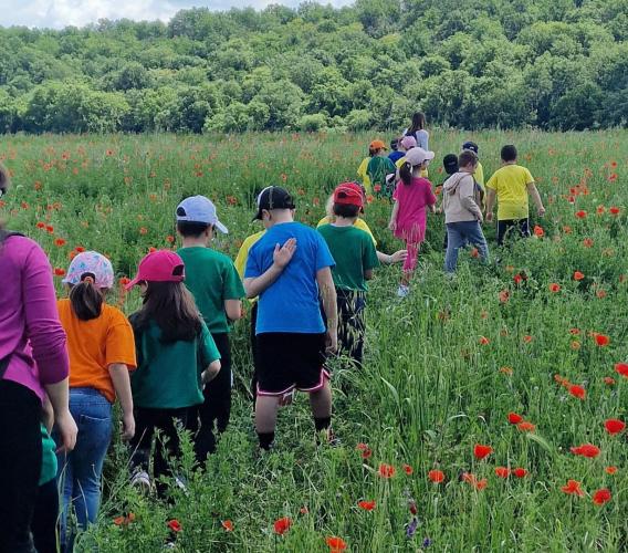 Turismo scolastico in crescita all’Abbadia di Fiastra: +80% nel 2025 Turismo scolastico in crescita all’Abbadia di Fiastra: +80% nel 2025