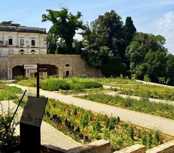 Treia riscopre il suo orto pomario: un omaggio ai frutti antichi a villa spada Treia riscopre il suo orto pomario: un omaggio ai frutti antichi a villa spada