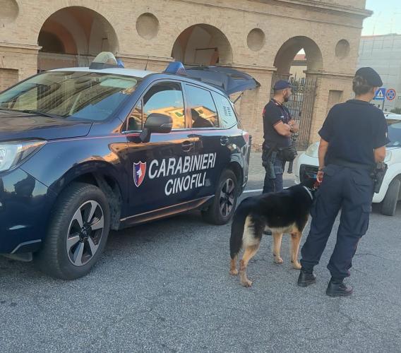 Cani antidroga e posti di blocco: controlli a tappeto dei Carabinieri a Macerata Cani antidroga e posti di blocco: controlli a tappeto dei Carabinieri a Macerata