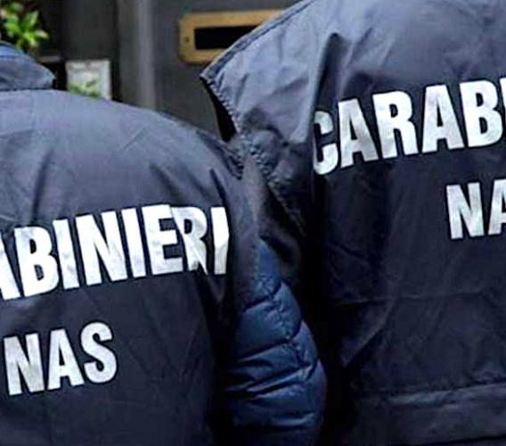 Controlli dei Nas a Porto Potenza: blatte morte e cucina sporca, chiuso ristorante di uno chalet Controlli dei Nas a Porto Potenza: blatte morte e cucina sporca, chiuso ristorante di uno chalet