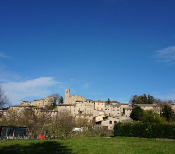 Dall’Università di Macerata un progetto per riscoprire l’Alto Maceratese: parte il Cammino dei Mulini Dall’Università di Macerata un progetto per riscoprire l’Alto Maceratese: parte il Cammino dei Mulini