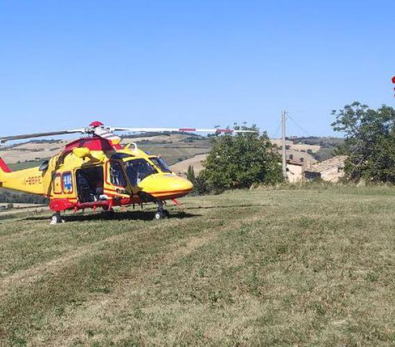 Incidente sul lavoro: operaio agricolo trasferito d'urgenza a Torrette