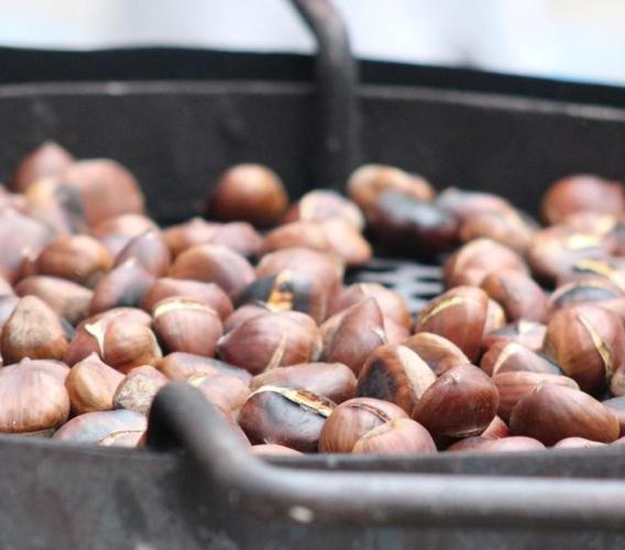 Castelraimondo, Crispiero si prepara per la Festa della Castagna: il programma Castelraimondo, Crispiero si prepara per la Festa della Castagna: il programma