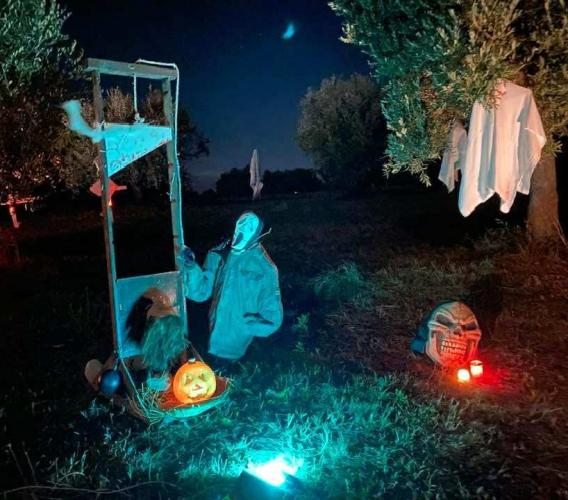 Un'intera contrada che si trasforma in 'villaggio del terrore': "Nel nostro uliveto va in scena la paura" Un'intera contrada che si trasforma in 'villaggio del terrore': "Nel nostro uliveto va in scena la paura"