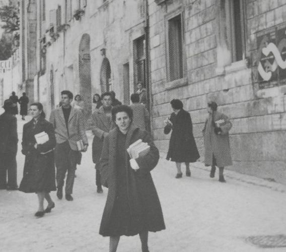 Avis Cingoli, "Le donatrici sono sotto la metà degli iscritti": un Calendario per sensibilizzare