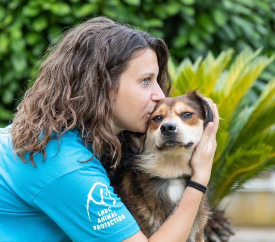 Camerino, "Un inverno senza gabbie”: il rifugio Lndc lancia l'appello per le adozioni responsabili contro il freddo
