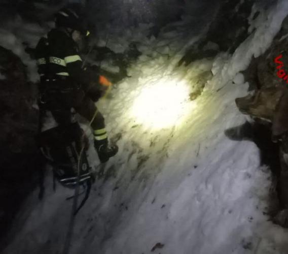 Sarnano, finiscono in un canalone mentre inseguono un cinghiale: salvati due cani da caccia
