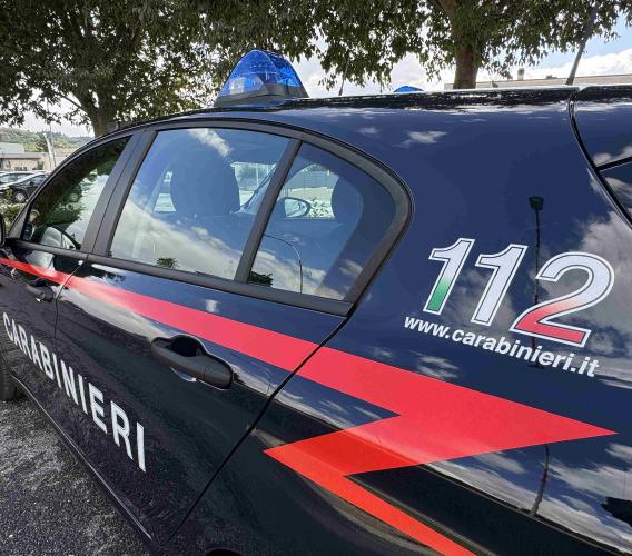 Petriolo - Investe e uccide il cane davanti a una famiglia con due bambini, poi fugge: denunciato 29enne