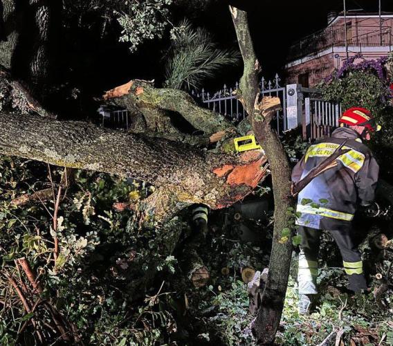 Maltempo nelle Marche, quasi 300 interventi dei vigili del fuoco. Piergallini: "Subito lo stato di emergenza"