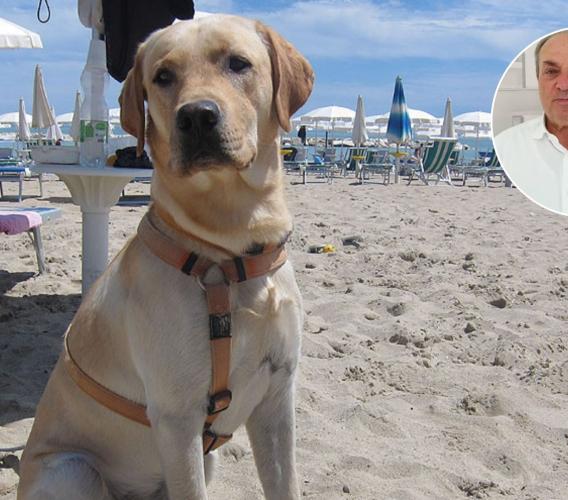 "Patentino obbligatorio per chi possiede un cane": dalle Marche la proposta di legge