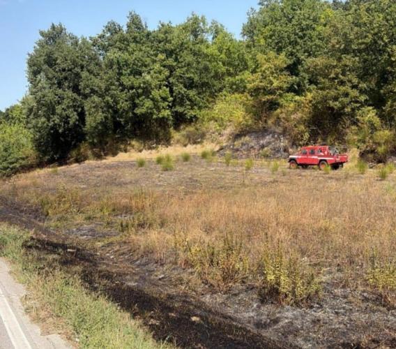Cingoli, incendio di sterpaglie: intervento dei vigili del fuoco