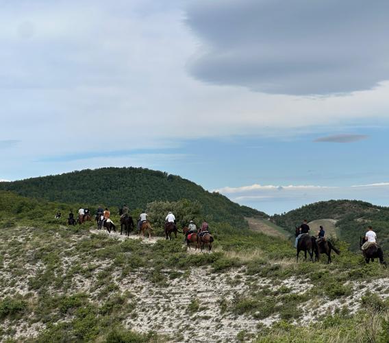 Cessapalombo, oltre 60 cavalli per il raduno nazionale sui Monti Sibillini