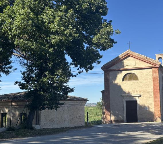 Cingoli, dopo il restauro riapre la chiesa di San Carlo fra gli ulivi