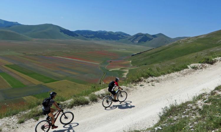 Fioritura di Castelluccio 2023, il percorso per chi arriva dalla provincia di Macerata: navette e parcheggi