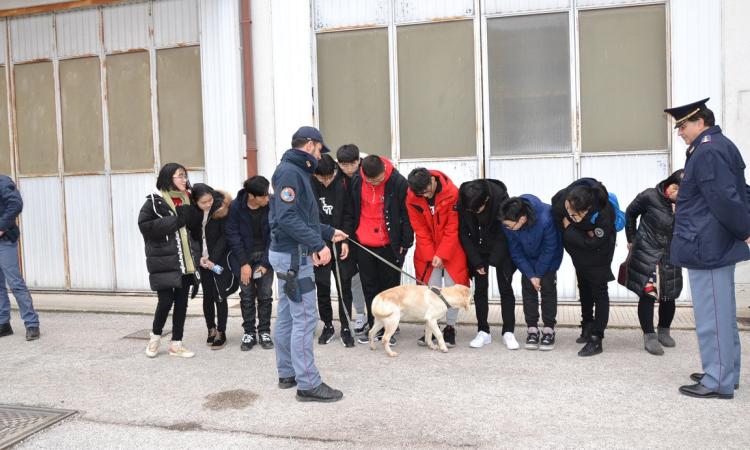Macerata, studenti cinesi in visita alla Questura (FOTO)