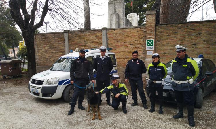 Lotta all'uso e allo spaccio di sostanze stupefacenti: controlli nelle scuole di San Severino e Tolentino (FOTO) Lotta all'uso e allo spaccio di sostanze stupefacenti: controlli nelle scuole di San Severino e Tolentino (FOTO)