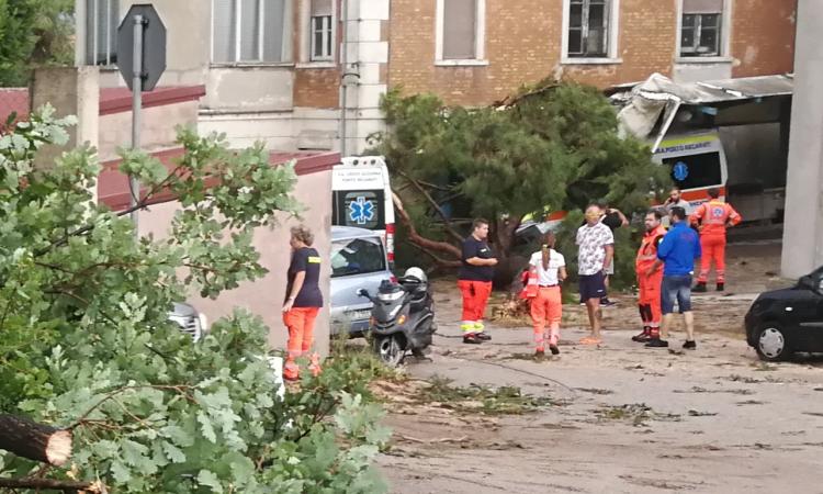 Porto Recanati, la disperazione dei ragazzi della Croce Azzurra: "Un disastro" (FOTO) Porto Recanati, la disperazione dei ragazzi della Croce Azzurra: "Un disastro" (FOTO)