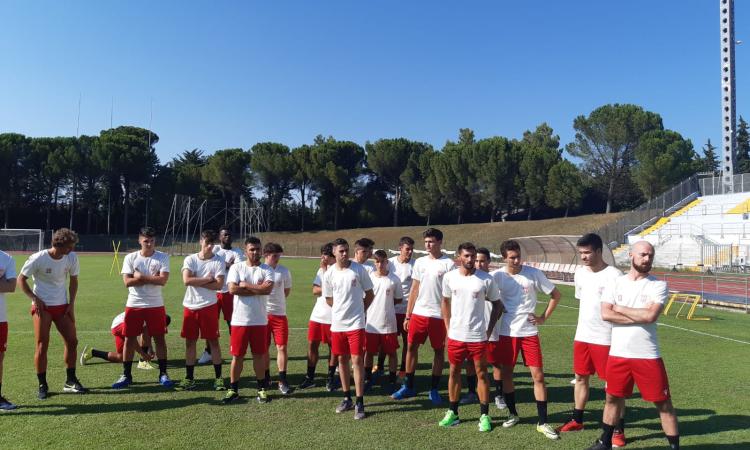 Niente Eccellenza per la Maceratese: la Figc ripesca l'Atletico Azzurra Colli Niente Eccellenza per la Maceratese: la Figc ripesca l'Atletico Azzurra Colli