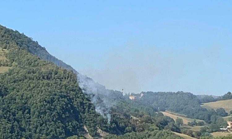 Bosco in fiamme a Valfornace: prende corpo la pista dolosa Bosco in fiamme a Valfornace: prende corpo la pista dolosa