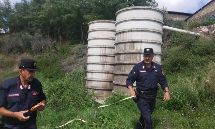 San Ginesio, 50 suini fatti morire di sete e liquame disperso sul suolo: denunciato un allevatore San Ginesio, 50 suini fatti morire di sete e liquame disperso sul suolo: denunciato un allevatore