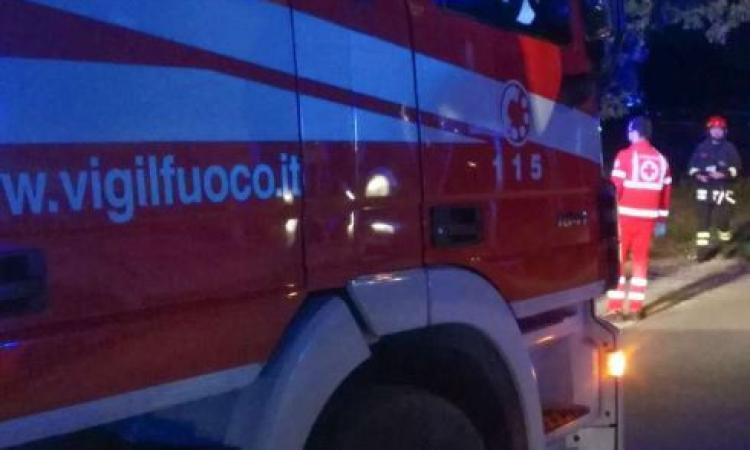 Maltempo, chiuso un tratto della Provinciale 78 a causa della caduta di una pianta Maltempo, chiuso un tratto della Provinciale 78 a causa della caduta di una pianta
