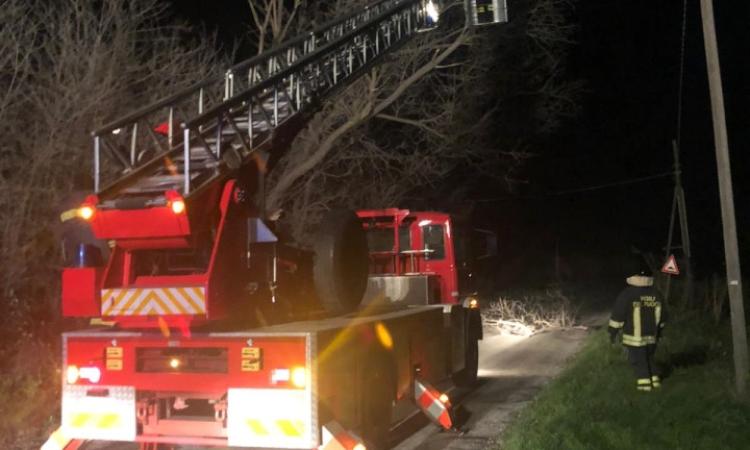 Forti raffiche di vento: 40 interventi dei Vigili del Fuoco nel Maceratese Forti raffiche di vento: 40 interventi dei Vigili del Fuoco nel Maceratese