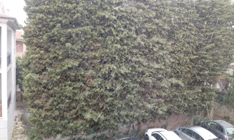 Nevicata di primavera a Civitanova Nevicata di primavera a Civitanova