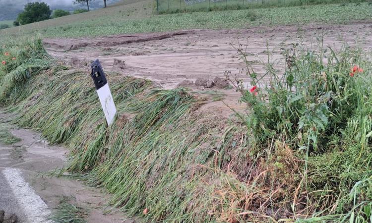 Grandine e maltempo, danni alle imprese agricole: le Marche chiedono aiuto al Governo