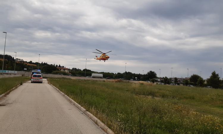 Civitanova, perde il controllo dell'auto in curva e si schianta contro una pianta: 52enne trasportato a Torrette (FOTO) Civitanova, perde il controllo dell'auto in curva e si schianta contro una pianta: 52enne trasportato a Torrette (FOTO)