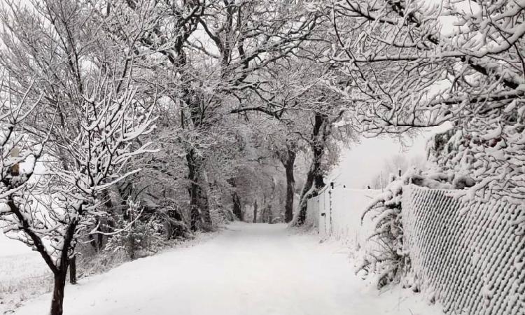 Marche, neve in arrivo a bassa quota e sulle coste per il week-end di San Valentino: le previsioni Marche, neve in arrivo a bassa quota e sulle coste per il week-end di San Valentino: le previsioni