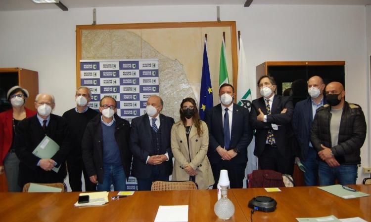 Un patto per costruire il Distretto biologico unico delle Marche: "Sarà il più grande d'Europa" Un patto per costruire il Distretto biologico unico delle Marche: "Sarà il più grande d'Europa"