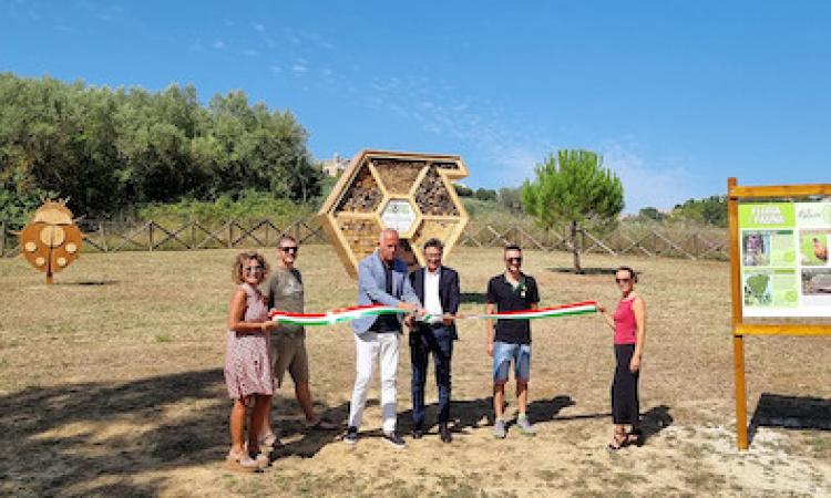 Civitanova, un hotel per le api per sostenere la biodiversità: l'iniziativa a cura del gruppo ICA