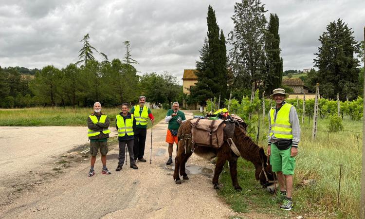 In marcia da Tolentino a Norcia in compagnia di due asinelli: "Ritrovare la pace nella natura" In marcia da Tolentino a Norcia in compagnia di due asinelli: "Ritrovare la pace nella natura"