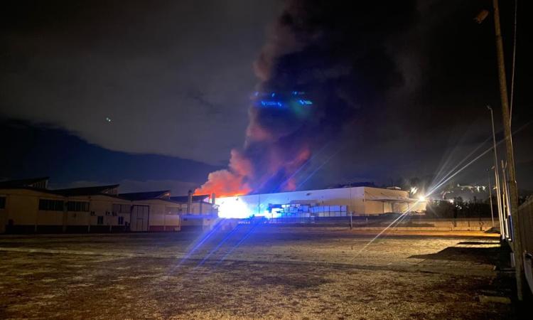 Incendio Rimel, nuovi dati: "Due campioni di uova su quattro contaminati da diossina" Incendio Rimel, nuovi dati: "Due campioni di uova su quattro contaminati da diossina"