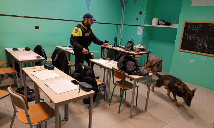 San Severino, controlli antidroga: forze dell'ordine e unità cinofila tra i banchi dell'Itts "Divini" San Severino, controlli antidroga: forze dell'ordine e unità cinofila tra i banchi dell'Itts "Divini"