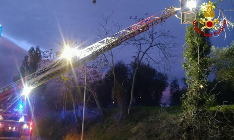 Il vento sferza le Marche: 60 interventi dei Vigili del Fuoco nel Maceratese Il vento sferza le Marche: 60 interventi dei Vigili del Fuoco nel Maceratese