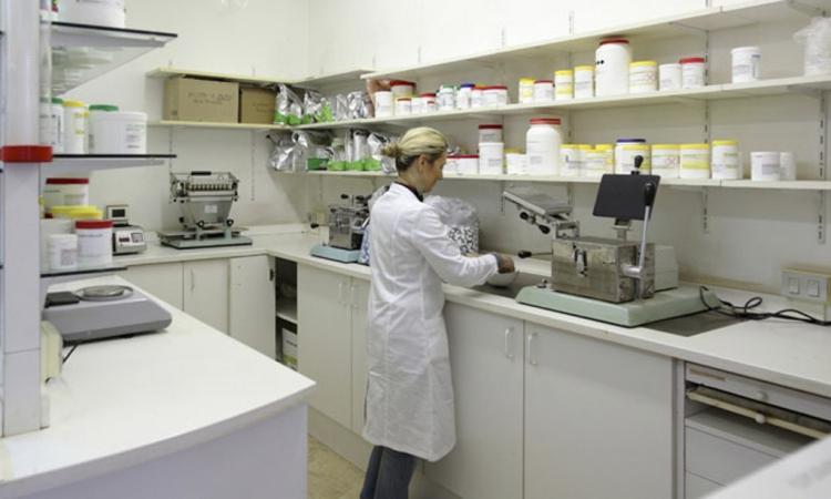 A Potenza Picena, la cannabis è terapeutica