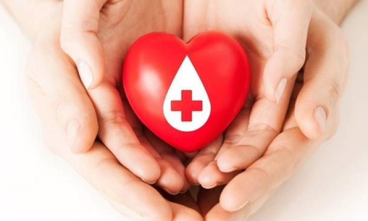 Appello dell'Avis Treia: "C'è bisogno di sangue"