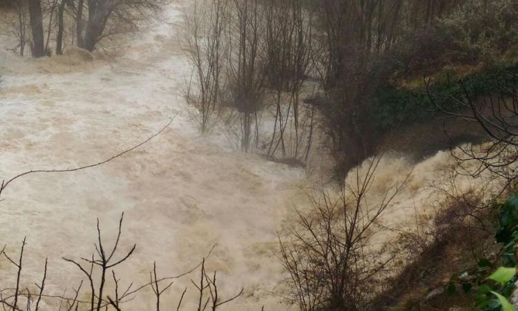 San Severino: operai al lavoro per rimuovere tronchi nelle frazioni di Aliforni, Stigliano e Ponte Sant'Antonio